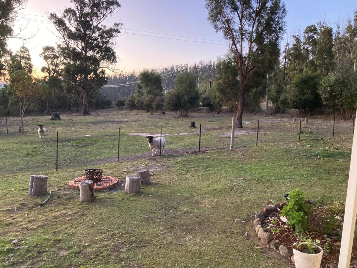 Winganah Cottage Murdunna Exterior photo